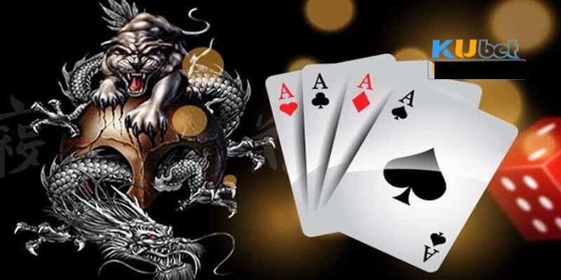 Lưu ý khi cá cược Rồng Hổ Kubet