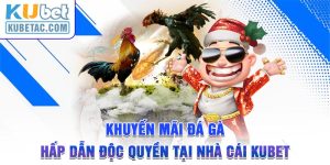 Khuyến Mãi Đá Gà Hấp Dẫn Độc Quyền Tại Nhà Cái Kubet